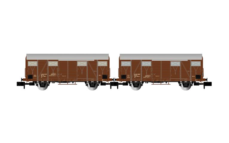 Arnold 6715 FS, 2-unit pack Gs wagons, brown livery, one with rear red lights, ep. IV