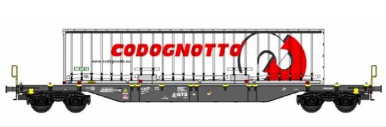 B-Models 54.423 Sgns + 45ft container , GTS + codognotto