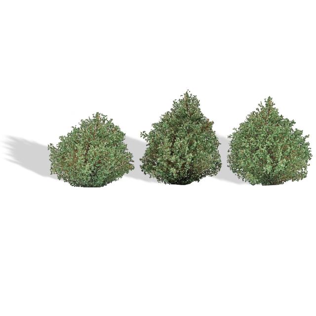 Busch 3607 1/87 3 BÜSCHE SOMMER