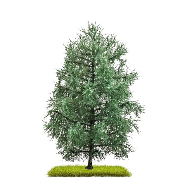 Busch 3803 TANNE 210 MM H0/TT