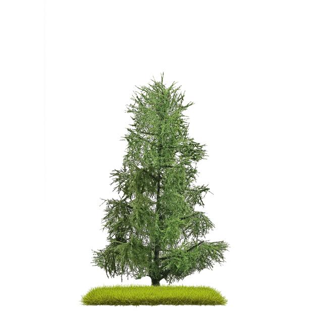 Busch 3806 FICHTE 140 MM H0/TT