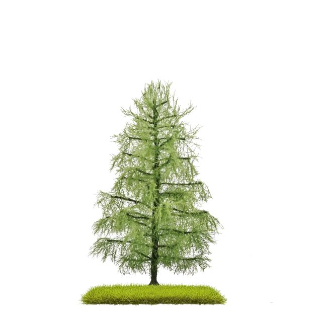 Busch 3812 LÄRCHE SOMMER 140 MM H0/TT