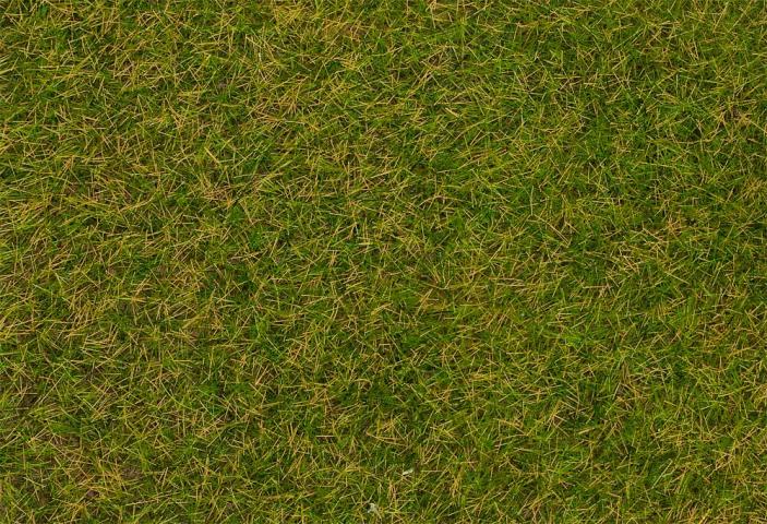 Faller 170216 1/87 GRASVEZELS, VROEGE ZOMER WEIDE, 4 MM, 80 G