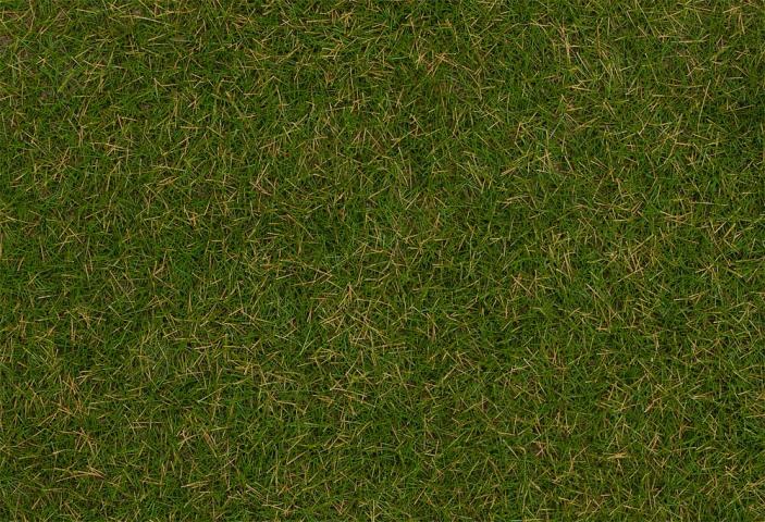 Faller 170218 1/87 GRASVEZELS, ZOMERWEIDE, 4 MM, 80 G