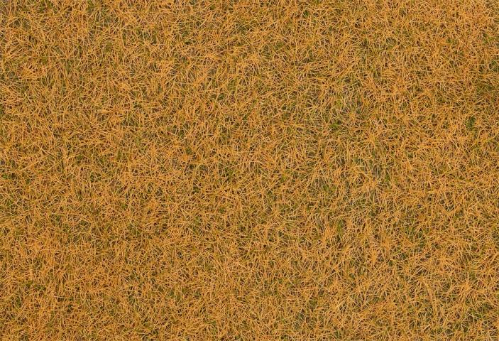 Faller 170224 1/87 GRASVEZELS, BEIGE, 4 MM, 80 G