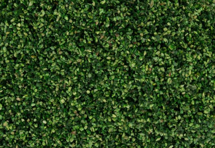Faller 170292 1/87 STROOIMATERIAAL BLADEREN, MEDIUM GROEN, 30 G