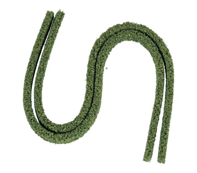 Faller 181158 1/87 2 THUJA HAGEN