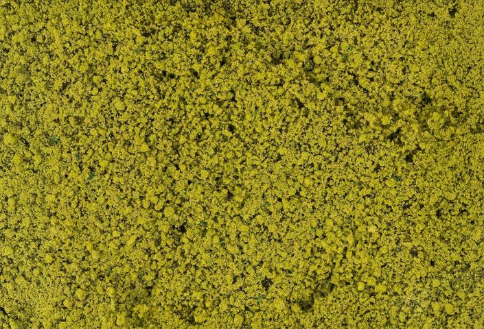 Faller 181621 BLÄTTERFOLIAGE, HELLGRÜN