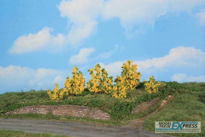 Heki 11800 6 Forsythiensträucher 3-6 cm