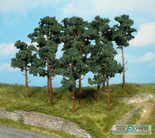 Heki 1413 scots pine trees 10-16 cm / 14 pc