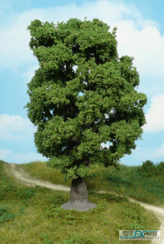 Heki 1940 oak tree 18 cm