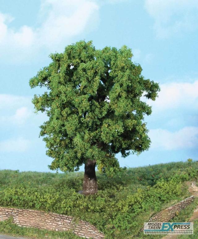 Heki 1944 chestnut tree 18 cm