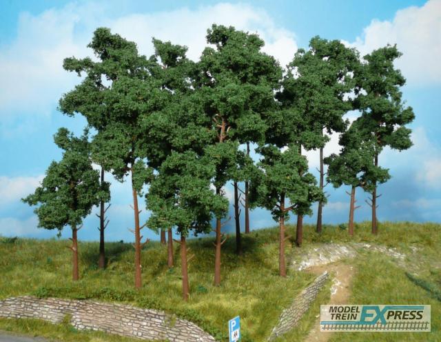 Heki 1953 scots pine trees 10-16 cm / 9 pc