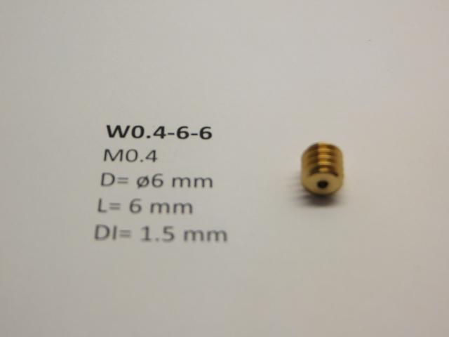 Micromotor.EU W0.4-6-6 M0.4 D=ø6 L=6 DI=1.5 mm