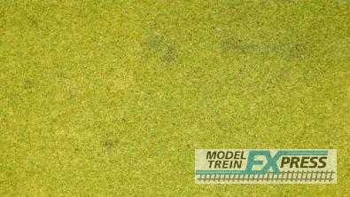 Noch 00240 Grasm Almwiesen 120x60