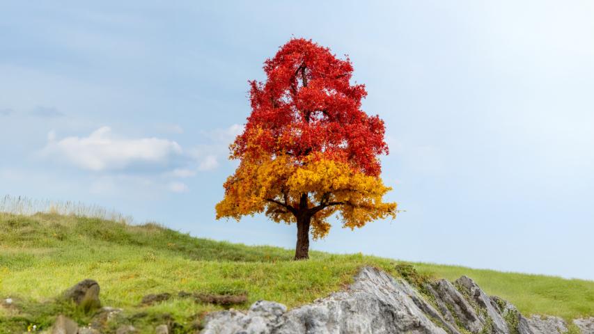 Noch 20114 Eik, herfstkleuren (20 cm hoog)
