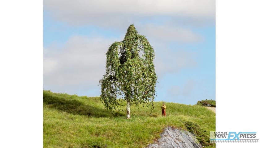 Noch 20121 Berken boom (Master-Bäume 12 cm hoog)