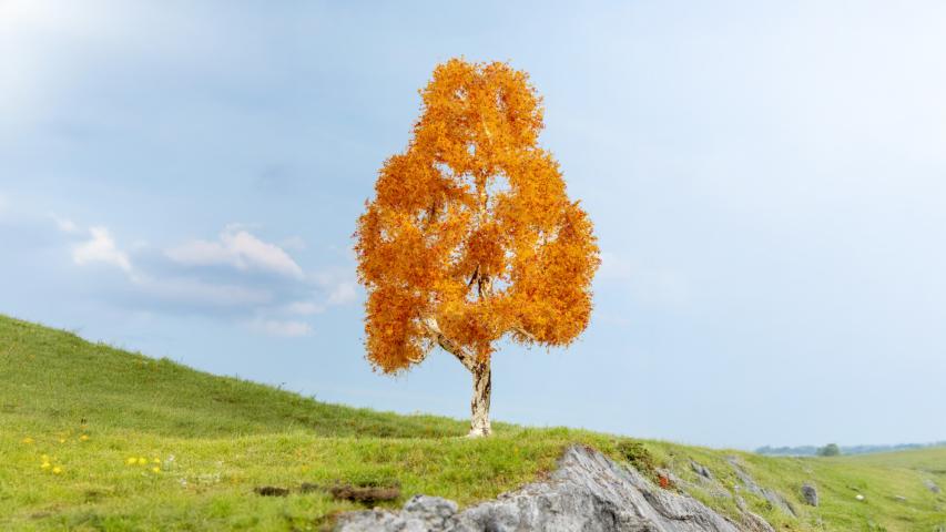 Noch 20129 Berk, herfstkleuren (21 cm hoog)