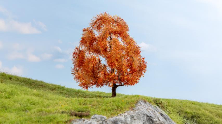 Noch 20155 Esdoorn, herfstkleuren (15 cm hoog)