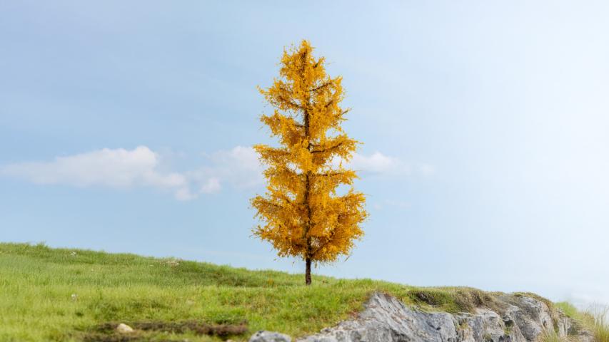 Noch 20167 Lariks, herfstkleuren (17 cm hoog)