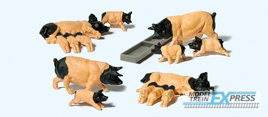 Preiser 10149 Schwäbisch Hällische Schweine