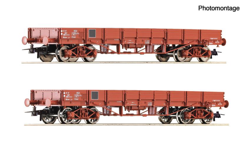 Roco 6600224 2er Set Niederbordwagen SNCF