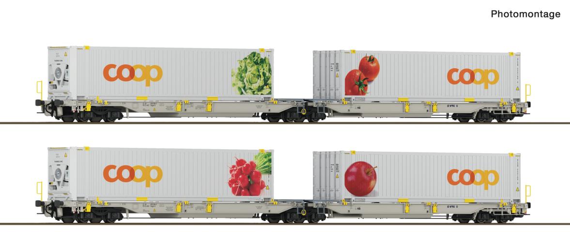 Roco 6600322 2er Set Doppeltaschenwagen T2000 + Coop #1