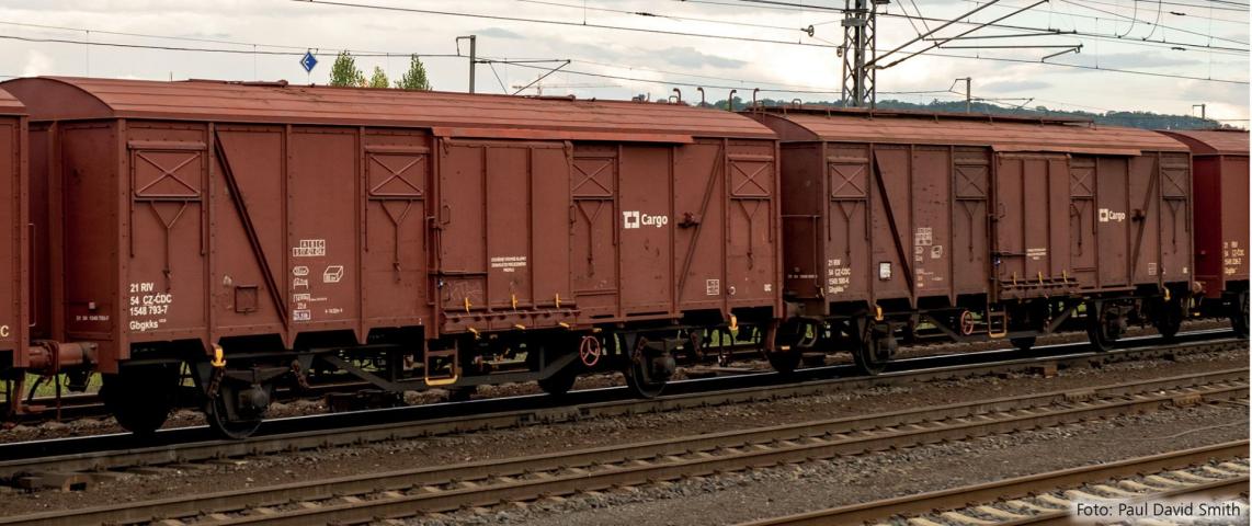 Tillig 70100 Güterwagenset der ?D Cargo, bestehend aus zwei gedeckten Güterwagen Gbgkks 112.0, Ep. VI -FORMNEUHEIT-