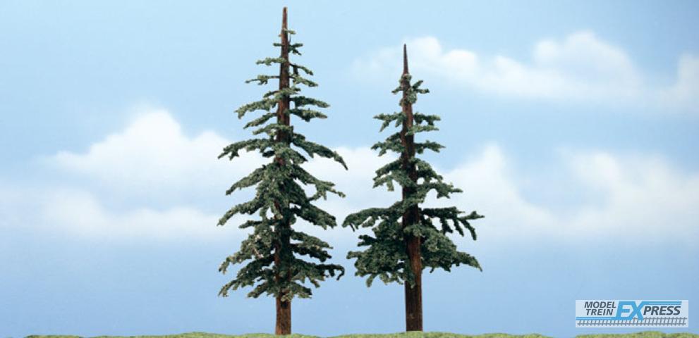 Woodland TR1628 PREMIUM TREES LODGEPOLE 2